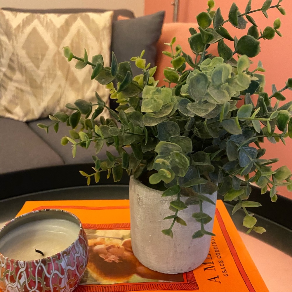 Fake plant 🍃